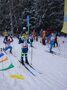 Краснопахорские спортсмены отлично выступили в Троицке